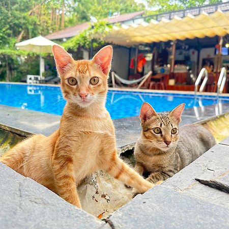 Vila Have Fun Phu Quoc Exteriér fotografie