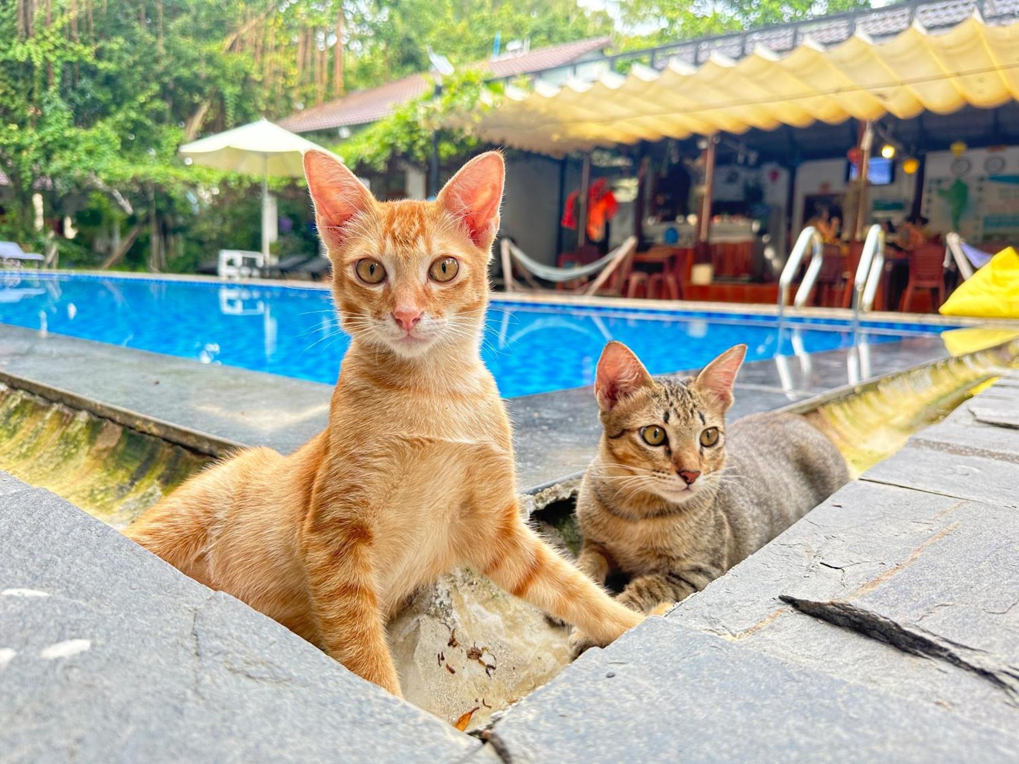Vila Have Fun Phu Quoc Exteriér fotografie